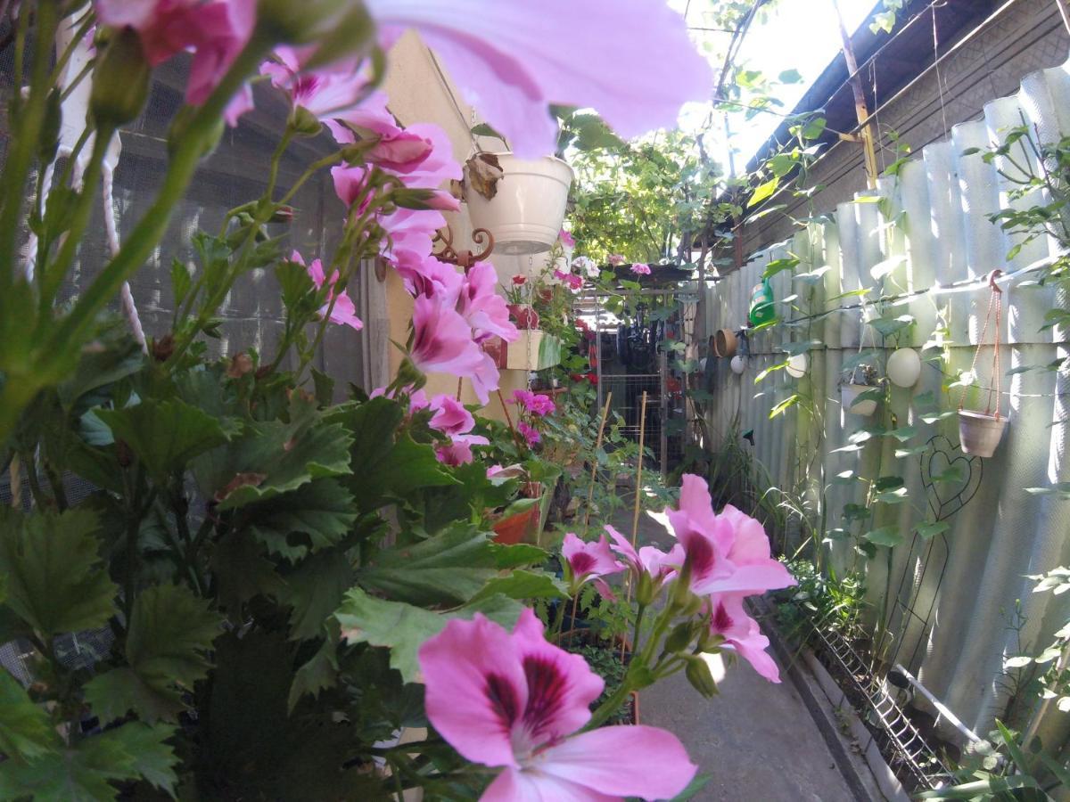 Casa Milly Constanta Apartment Ngoại thất bức ảnh